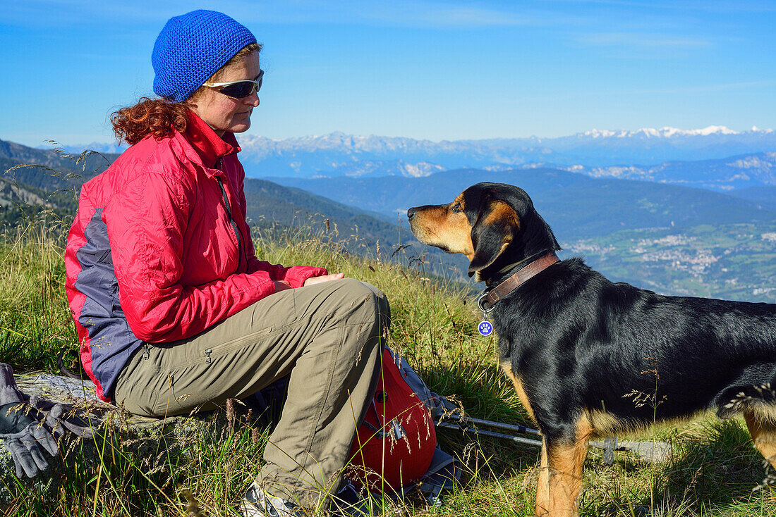 Woman hiking and shepherd dog looking at each other, mountains in background, Trans-Lagorai, Lagorai range, Dolomites, UNESCO World Heritage Site Dolomites, Trentino, Italy