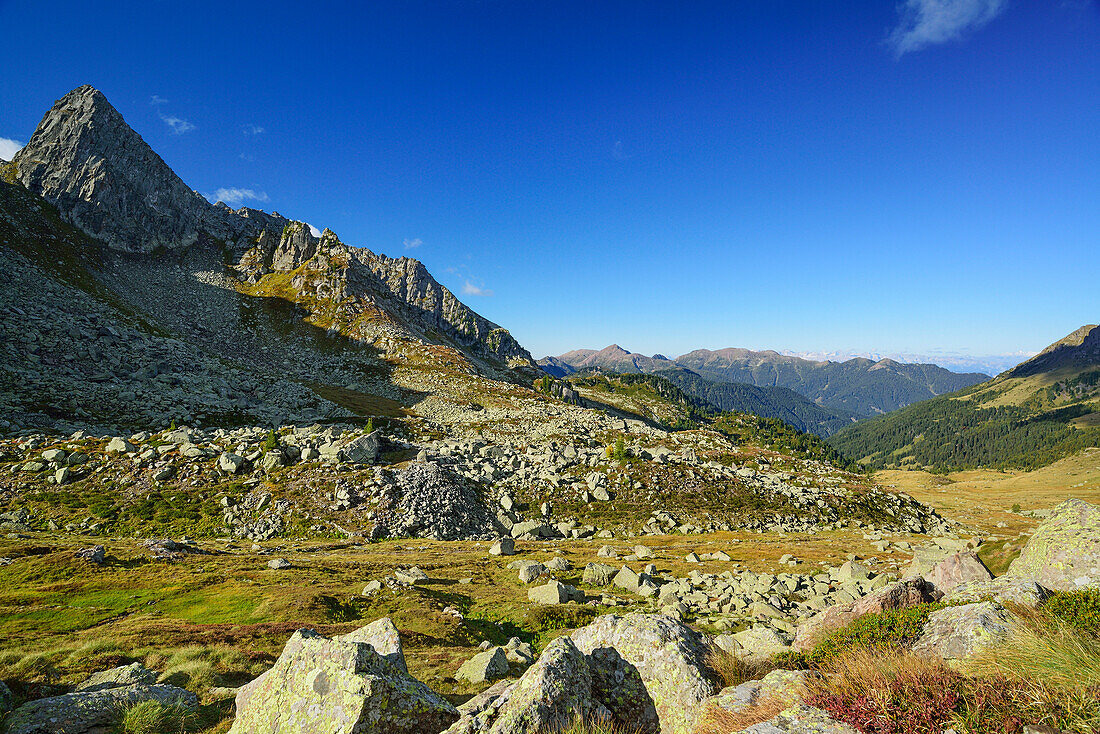 Alpine meadow with boulders at Forcella di Valsorda, Trans-Lagorai, Lagorai range, Dolomites, UNESCO World Heritage Site Dolomites, Trentino, Italy