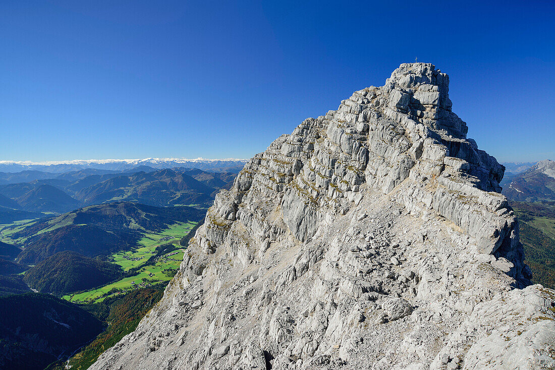 Rothoernl at Nurracher Hoehenweg with Grossvenediger in background, Loferer Steinberge range, Tyrol, Austria