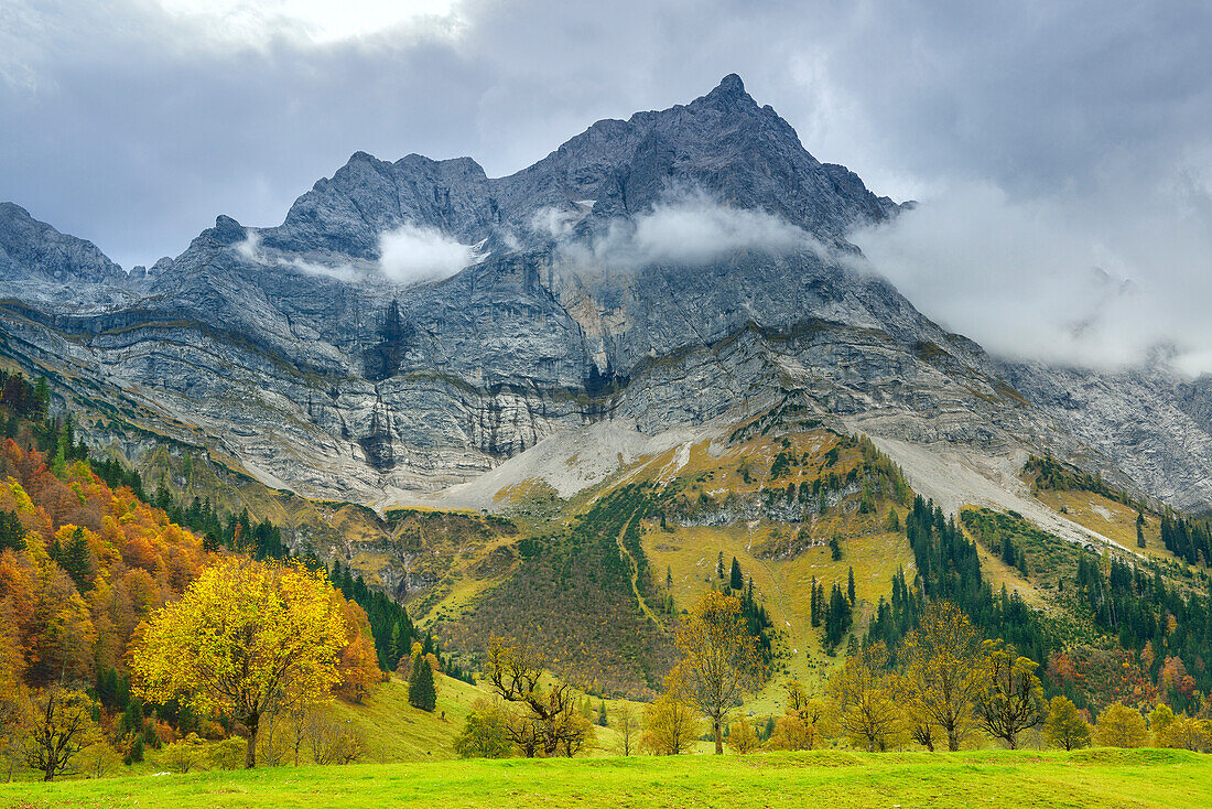 Trees in autumn colours beneath Spritzkarspitze, Eng valley, Karwendel range, Tyrol, Austira