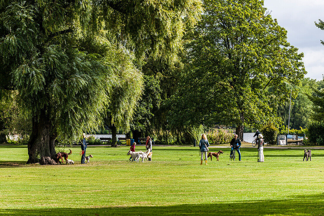 Dog owners an dogs on a field for dog-walking near Outer Alster, Hamburg, Germany