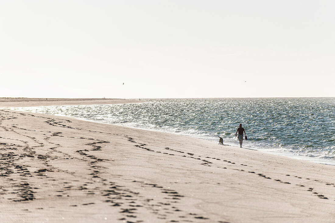 Frau mit Hund spaziert am Strand entlang, Ellenbogen, Sylt, Schleswig-Holstein, Deutschland