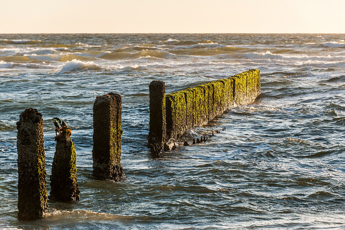 Buhnen im Wasser, Kampen, Sylt, Schleswig-Holstein, Deutschland