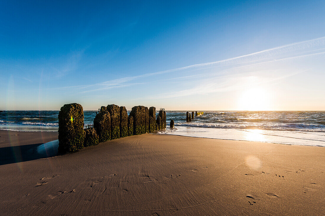 Buhnen am Strand, Kampen, Sylt, Schleswig-Holstein, Deutschland