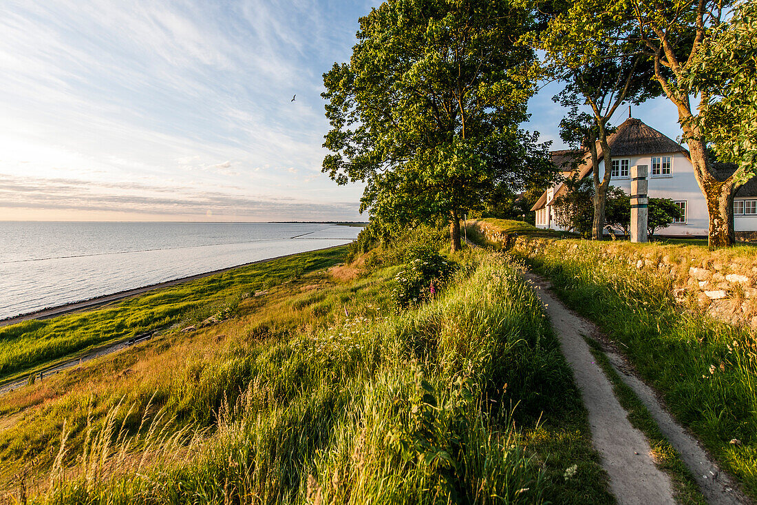 Thatched-roof house near Wadden Sea in sunrise, Keitum, Sylt, Schleswig-Holstein, Germany