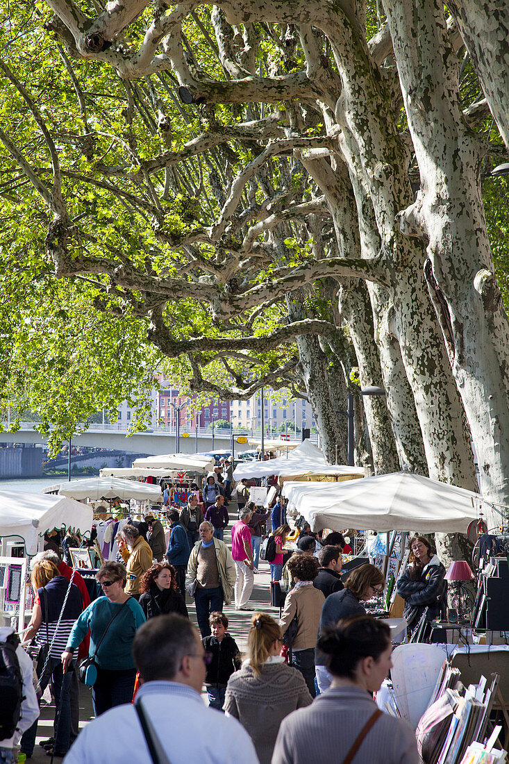 Street market, Vieux Lyon, , Rhone Alps, France, Europe