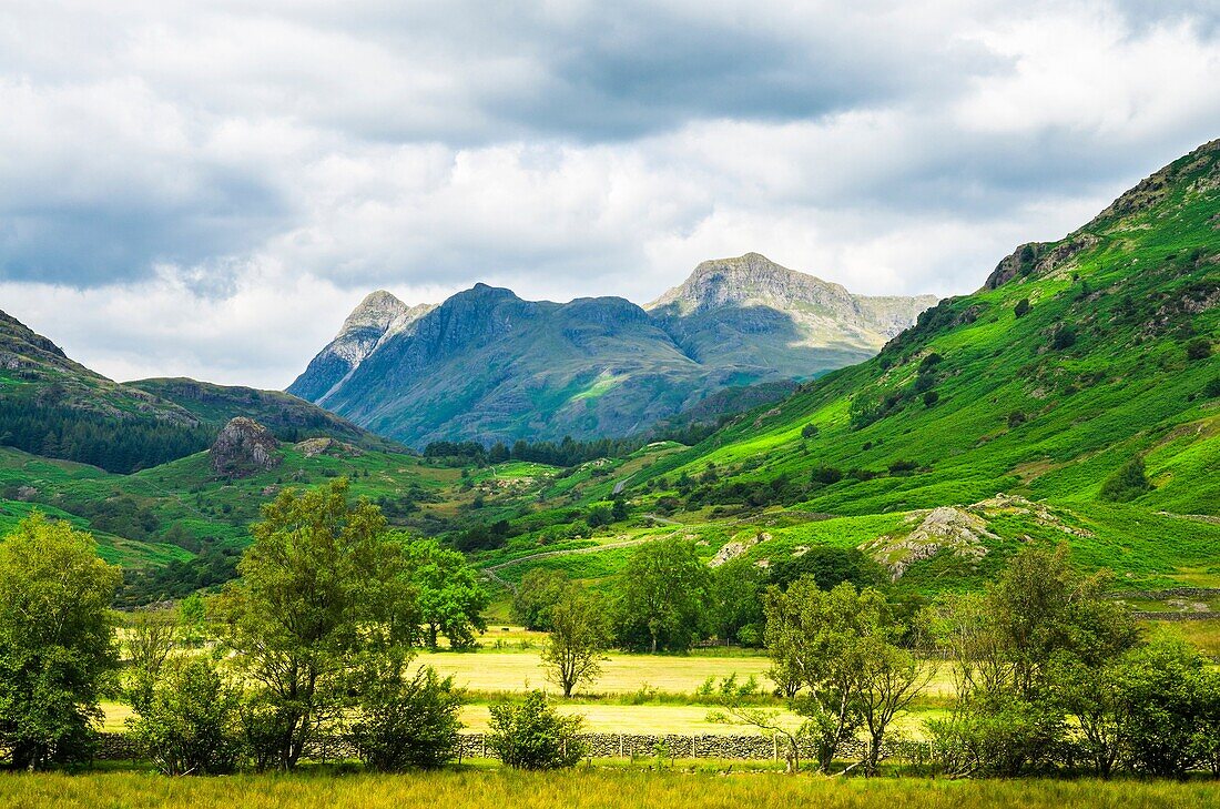 Langdale Pikes viewed from the Little Langdale Valley in the English Lake District, Cumbria, England.