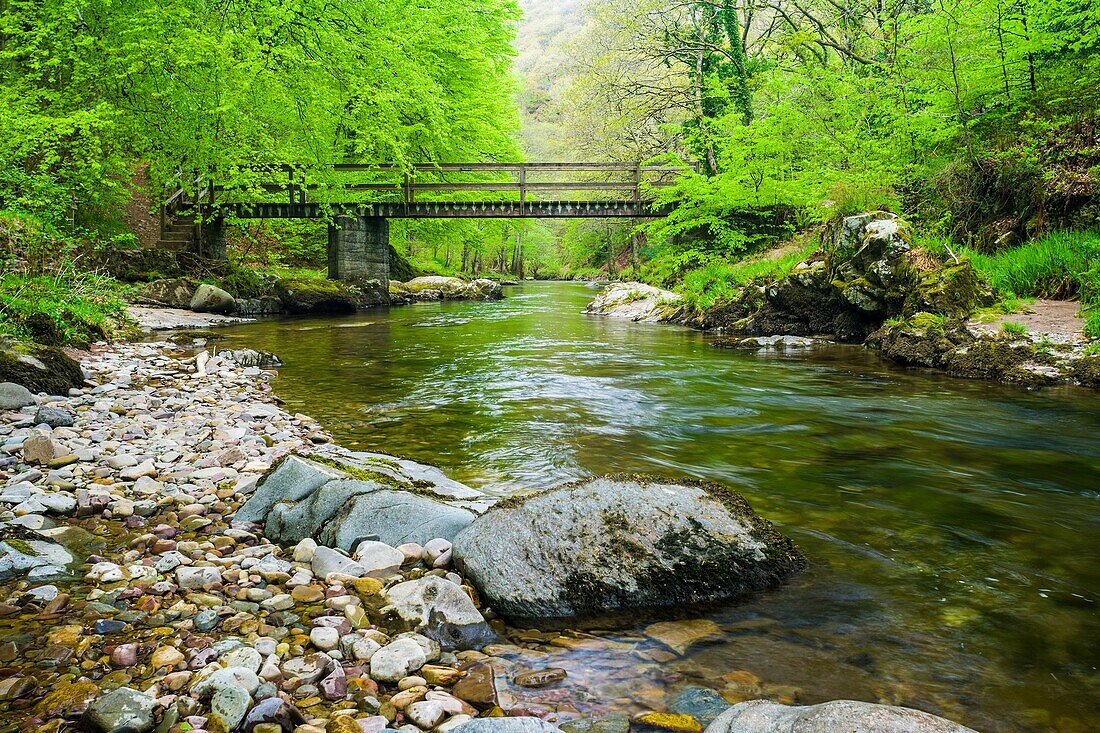 Ash Bridge over the East Lyn River in Barton Wood in the Exmoor National Park. Lynmouth, Devon, England.
