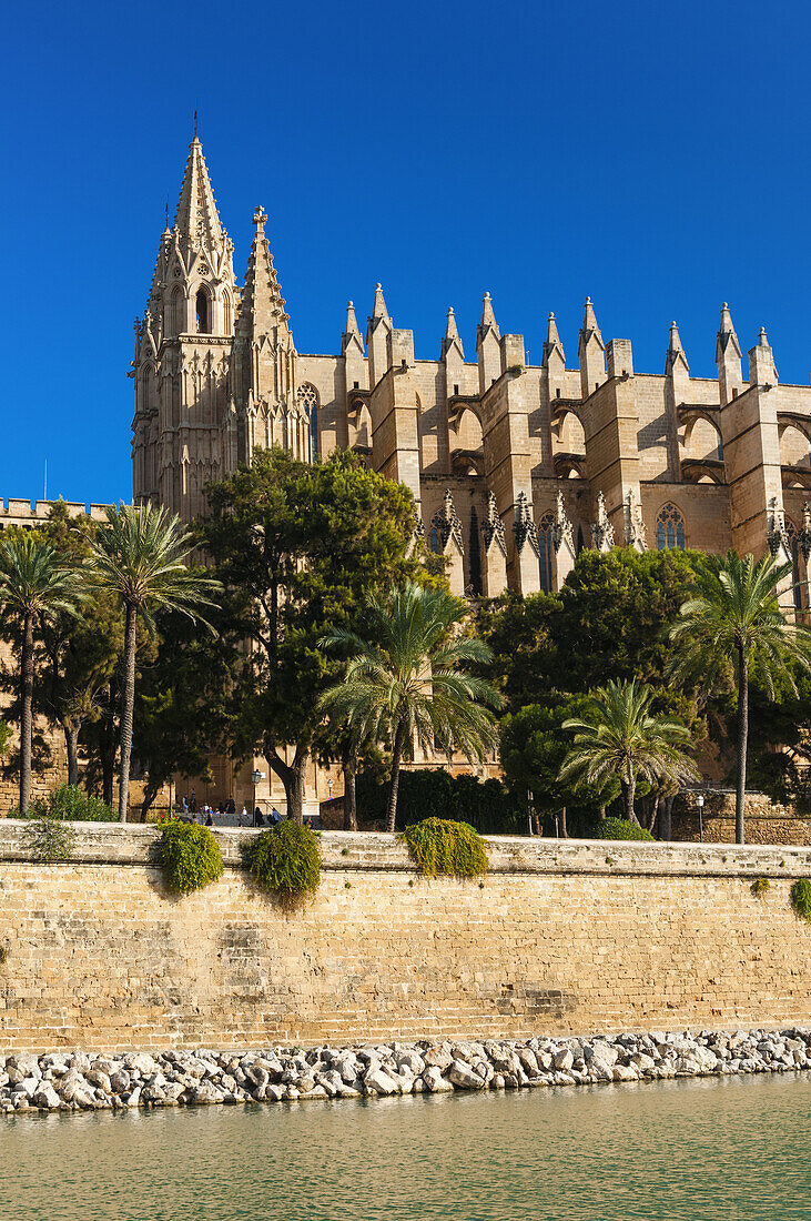 Cathedral of Santa Maria of Palma, more commonly referred to as La Seu, Palma de Mallorca, Majorca, Balearic Islands, Spain.