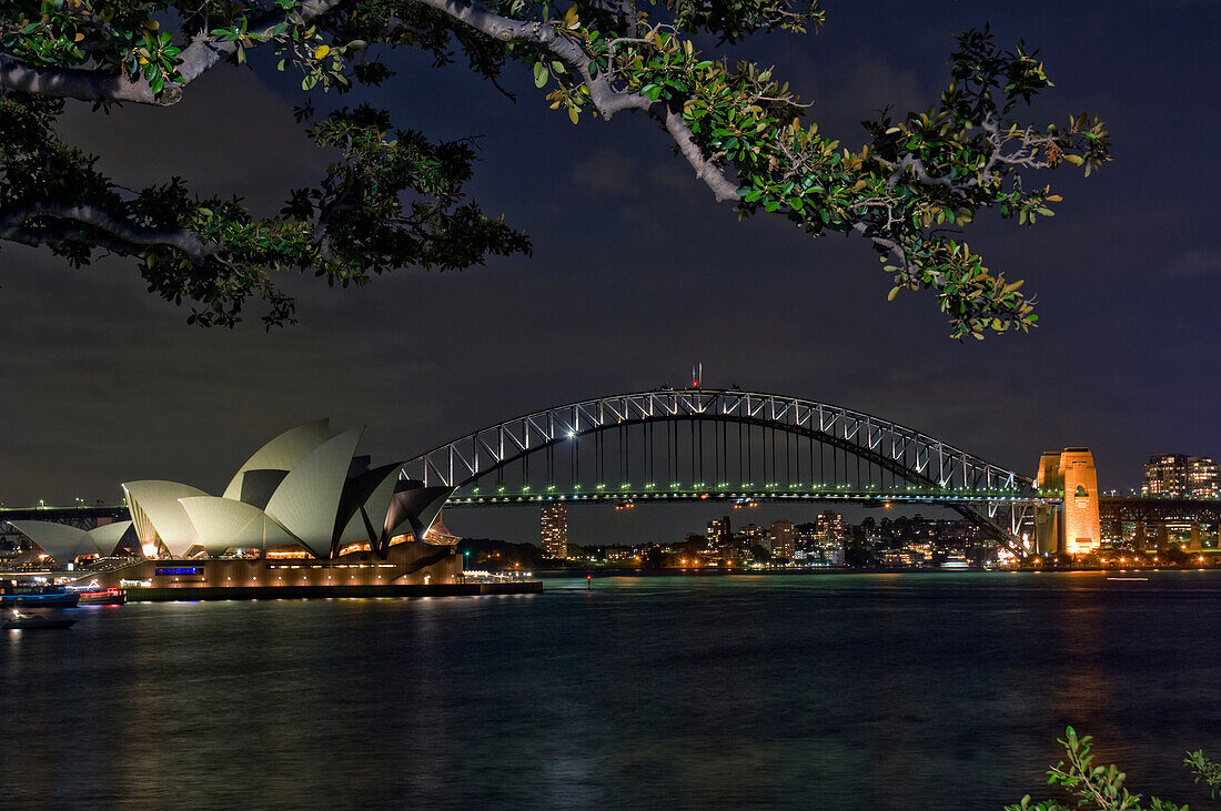 Australia, Sydney, View Of The Harbor Bridge And Opera House, Foliage In Foreground.