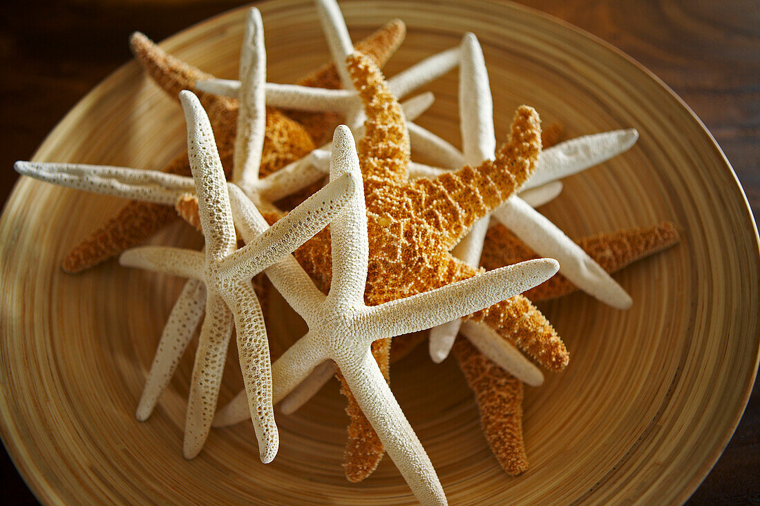 Hawaii, Decorative Dish With Tropical Starfish.