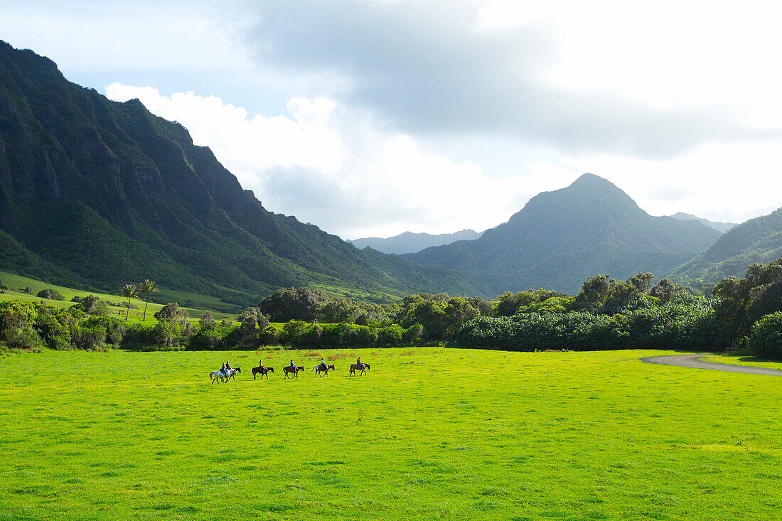Hawaii, Oahu, Kualoa Ranch, Horseback Riders In An Open Field. (Editorial Use Only)