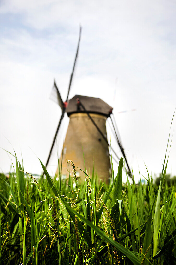 Windmill, Holland