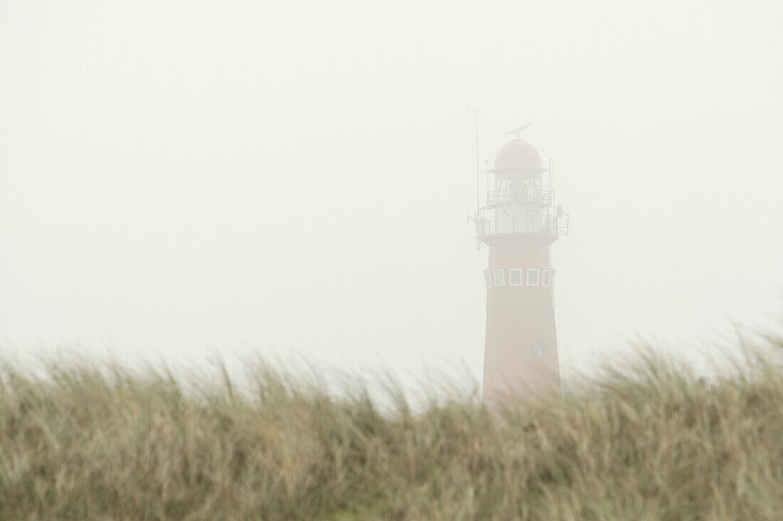 Lighthouse In Fog On Schiermonnikoog Island, Netherlands