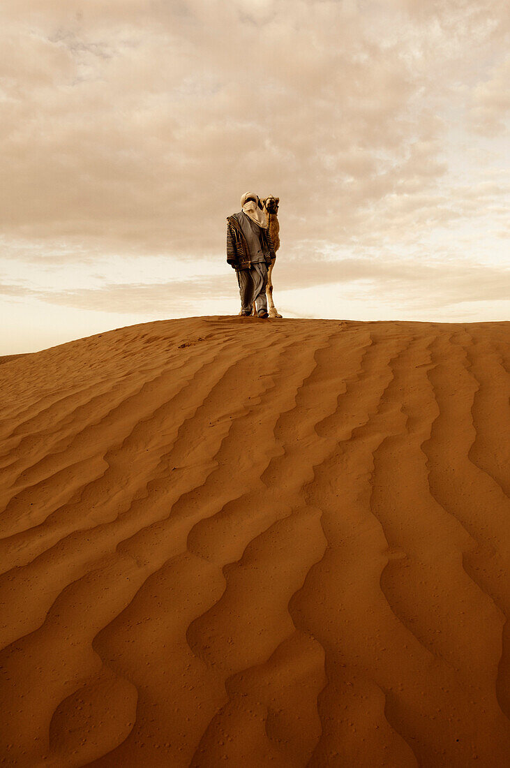 Man Standing With A Camel, Sahara Desert, Tunisia
