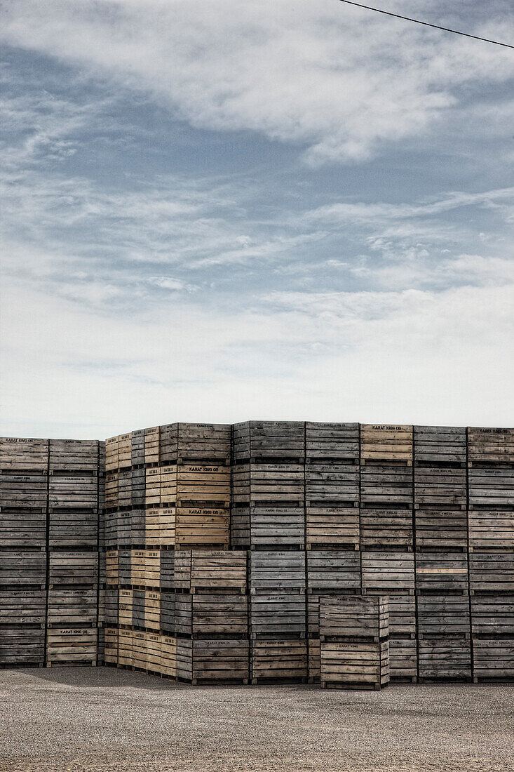 Wooden Crates At Farm, Holland Marsh, Central Ontario