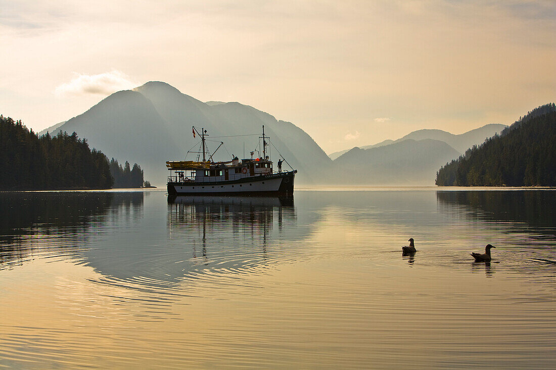 Adventure Boat On James Bay Silhouetted Against The Don Peninsula, Great Bear Rainforest, British Columbia