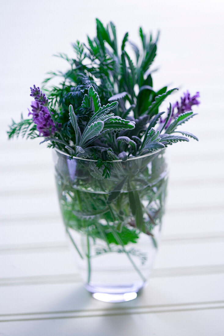 Mixed Herbs In A Small Vase