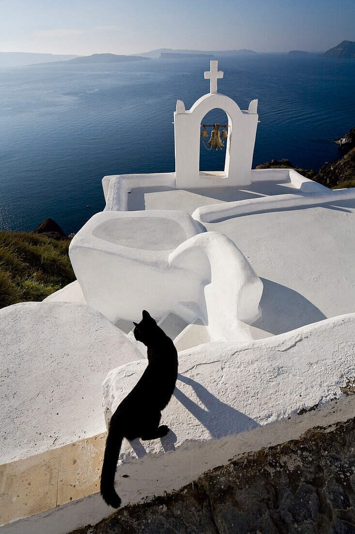View Of A Cat On A Wall In The Village Of Oia Perched On Steep Cliffs Overlooking The Submerged Caldera, Santorini, Greece