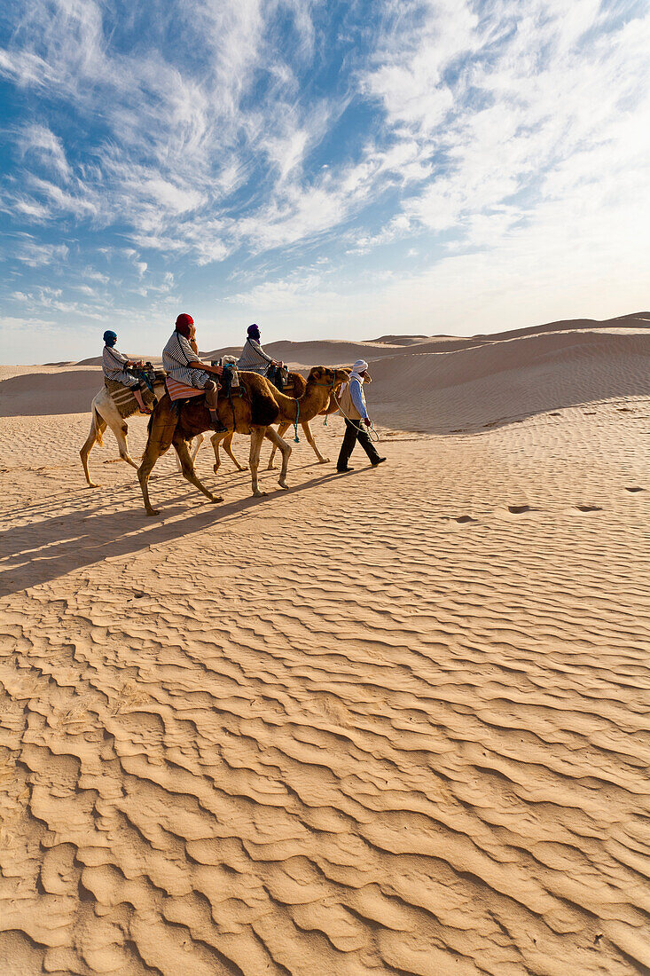 'Tourists On Camel Ride Through Grand Erg Oriental Desert; Zaafrane, Tunisia, North Africa'