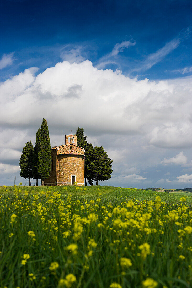 Vitaleta Kapelle, bei Pienza, Val d'Orcia, Provinz Siena, Toskana, Italien, UNESCO Welterbe