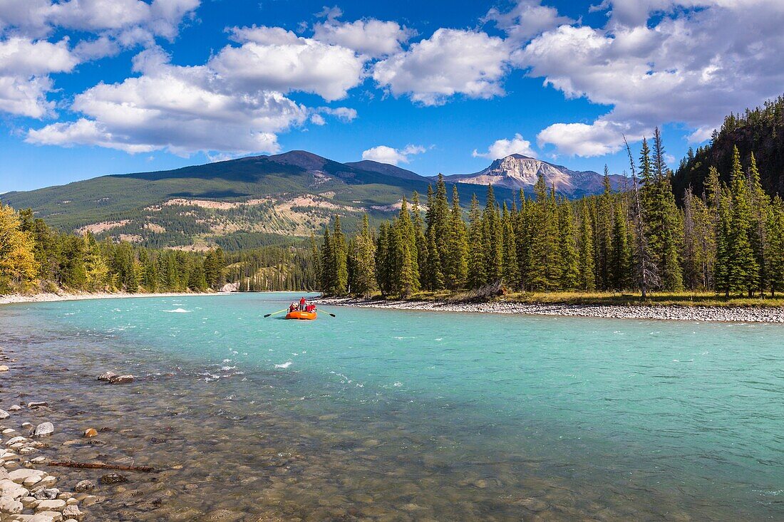 Athabasca River and mountain range in the background, Jasper National Park, Alberta, Canada