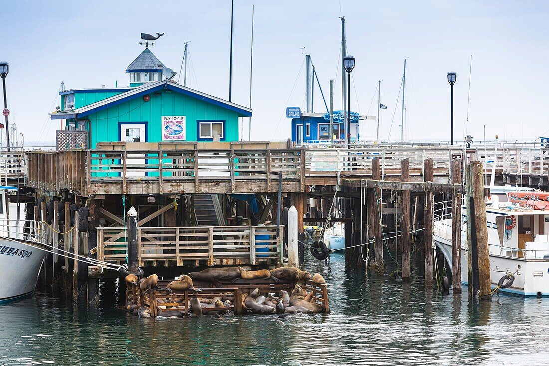 Buildings and pier on Fisherman´s Wharf, Monterey, California, USA