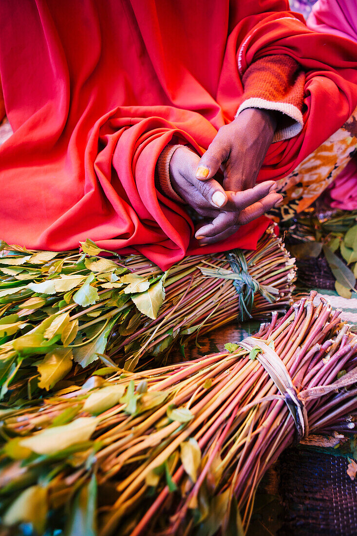 'Qat sellers in a market just outside the old city of Harar in Eastern Ethiopia; Harar, Ethiopia'