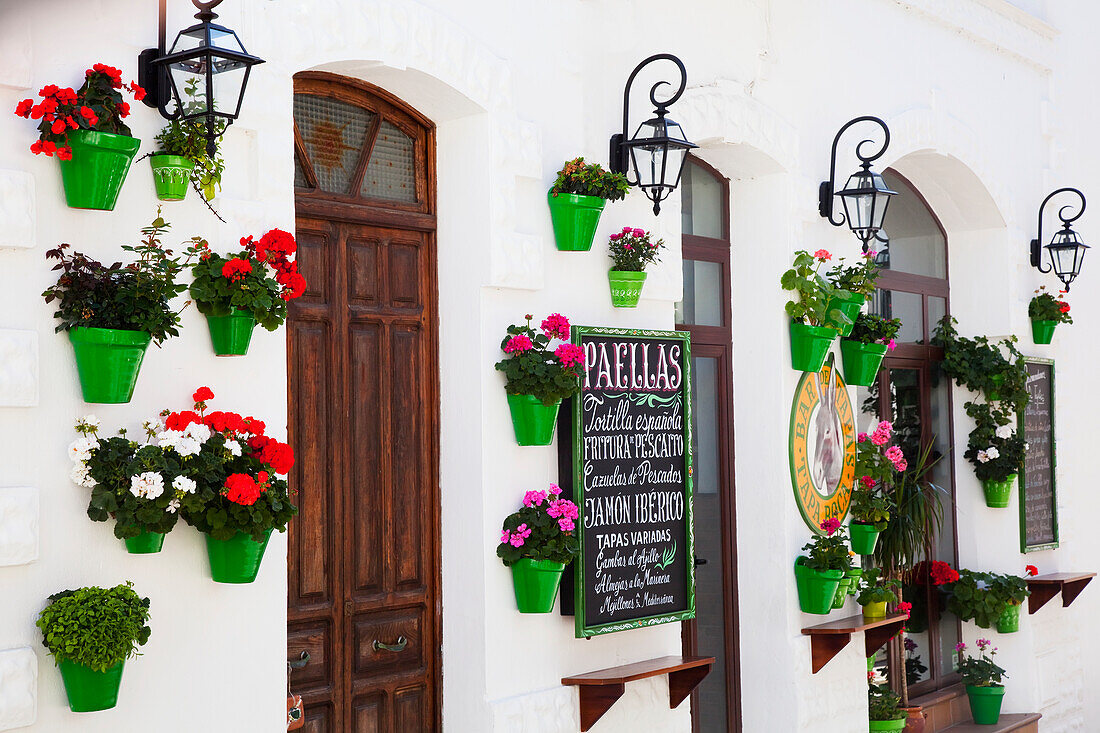 'Entrance to a restaurant with flower pots mounted to the wall; Tarifa, Cadiz, Andalusia, Spain'