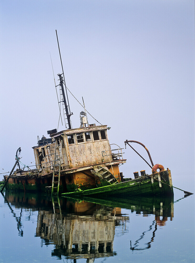 'A derelict boat decays at Gold Beach; Oregon, United States of America'