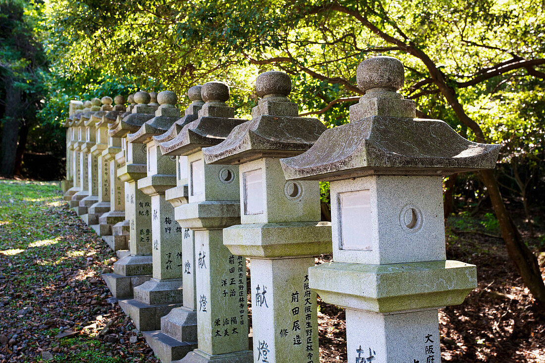 'Buddhist structures in a row under a tree; Japan'