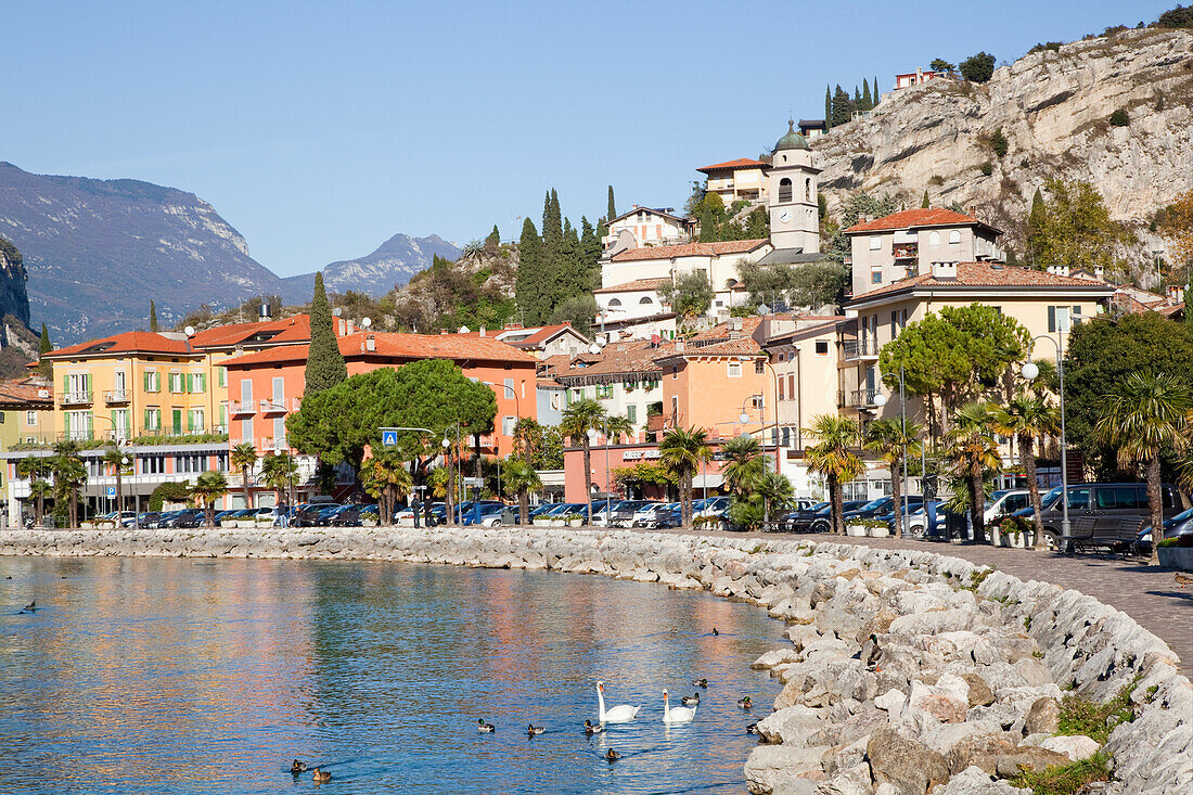 'Buildings and cars along the waterfront on Lake Garda; Malcesine, Verona, Italy'