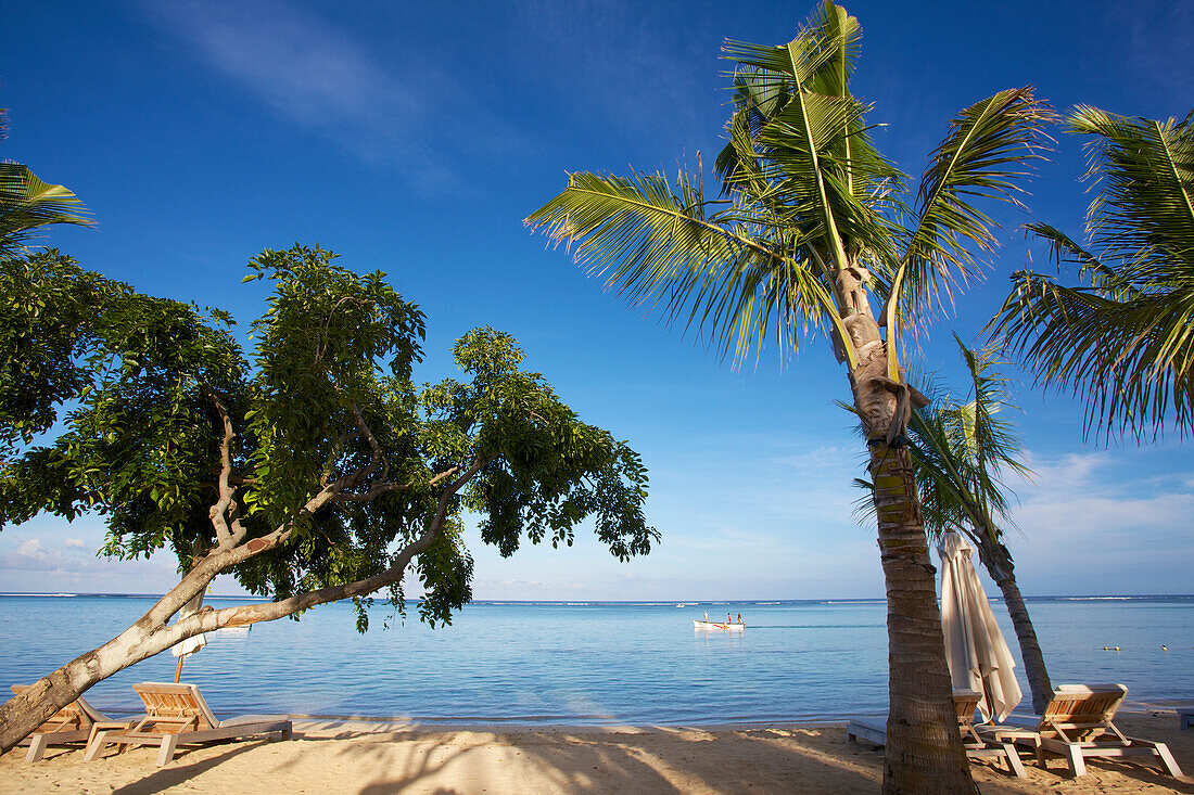 'Palm trees on the white sand shore with a boat in the Indian Ocean; Mauritius'
