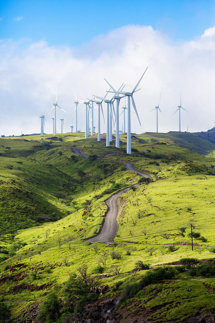 'Kaheawa Wind Power is one of the largest wind farms in Hawaii, located in Maui above Maalaea; Maui, Hawaii, United States of America'