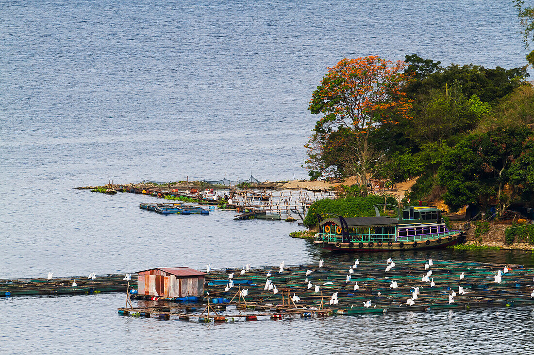Fish farms on Lake Toba, as seen from Siuhan, North Sumatra, Indonesia