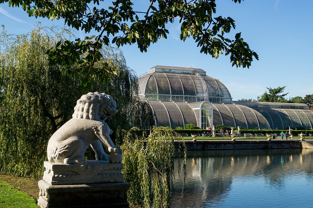 'Palm House, Kew Gardens; London, England'