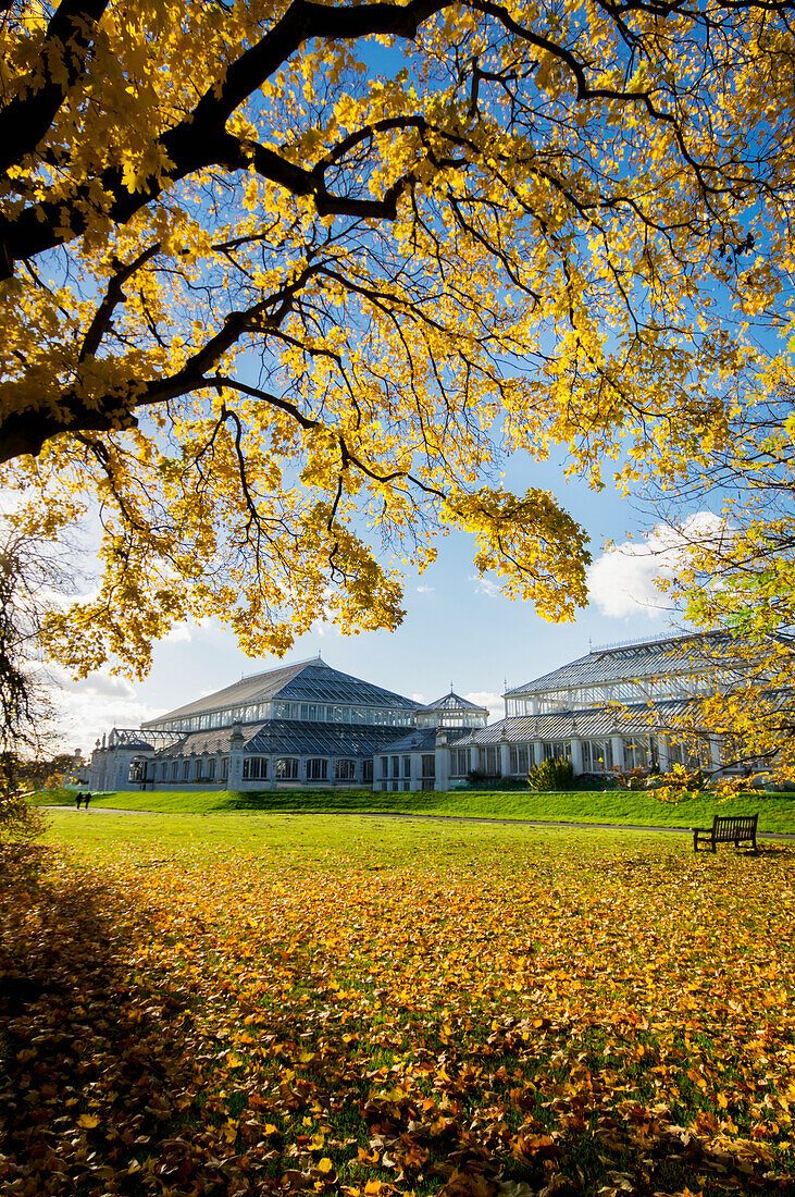 'Kew Gardens Temperate House; London, England'