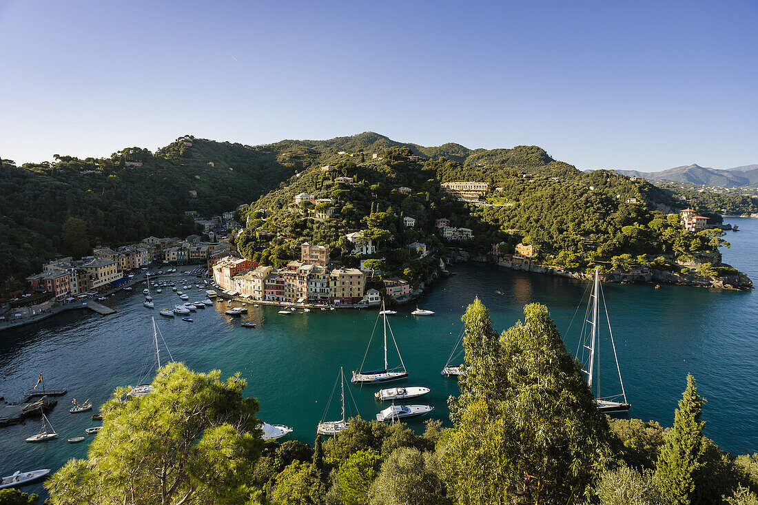 'View of the harbour and buildings along the coast; Portofino, Liguria, Italy'