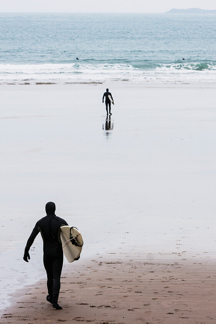 'Dedicated surfers in full cover wetsuit heading out to the chilly winter waters at Whitesands Beach on the Pembrokeshire Coast Path; Pembrokeshire, Wales'