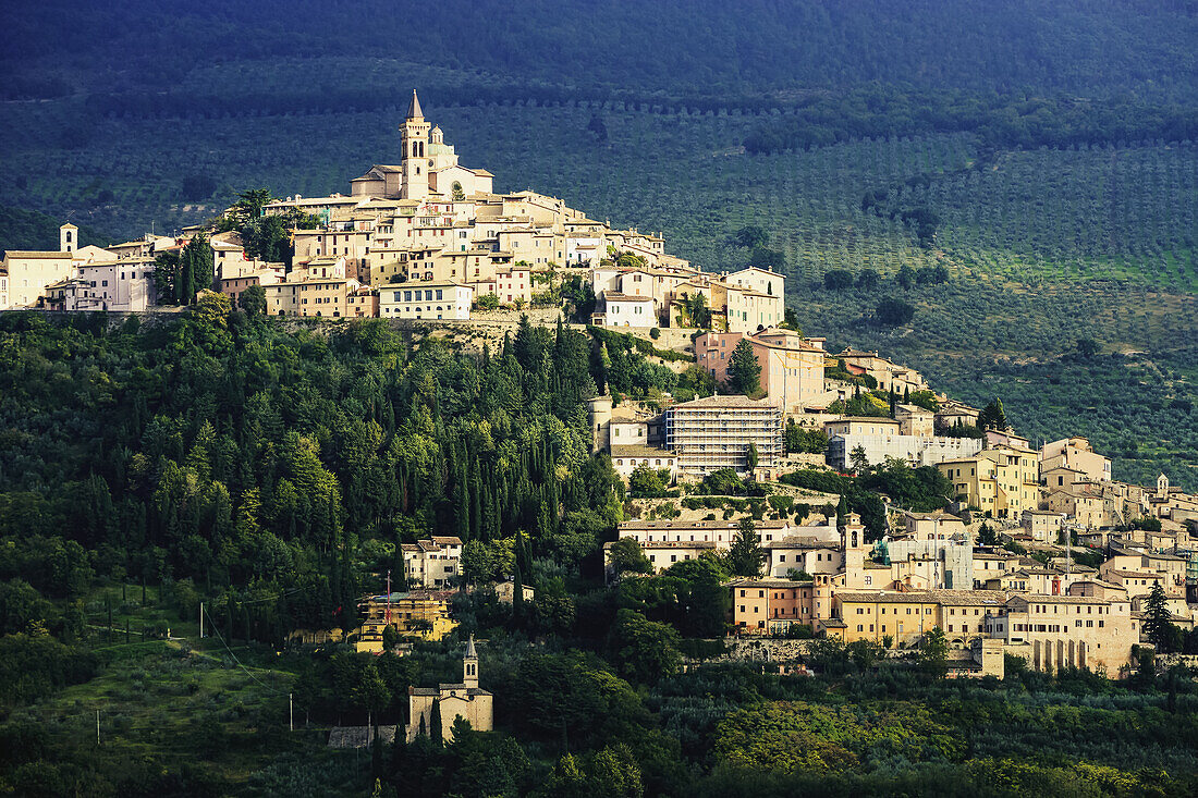 'A city on a hill surrounded by vineyards; Trevi, Umbria, Italy'