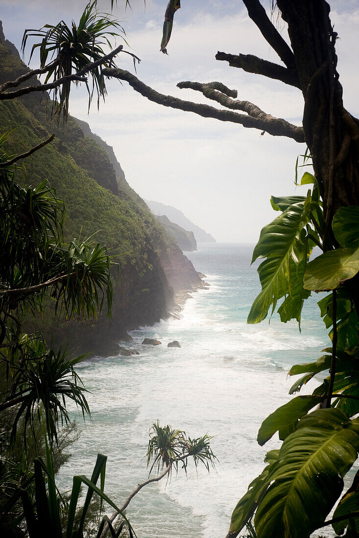 The Kalalau Trail treks along the high sea cliffs of the Na Pali Coast of Kauai.