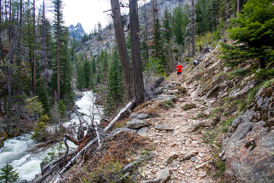 A woman trail runs up Big Creek in the Selway-Bitterroot Wilderness, Montana