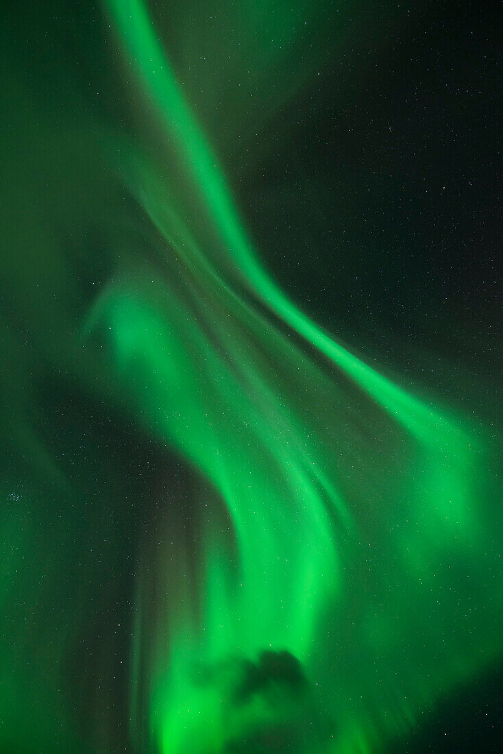 Northern Lights - Aurora Borealis shine in Sky,  Lofoten Islands, Norway