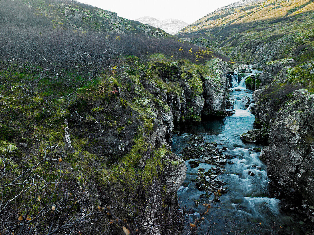 small river in the Westfjords of Iceland