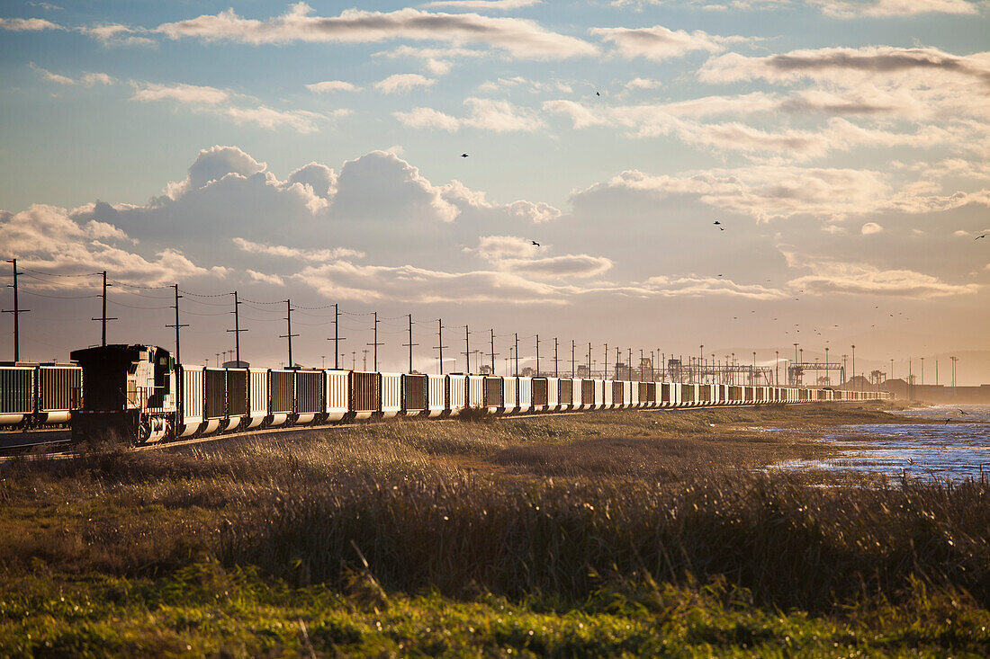 Rail Yard along the Roberts Bank Causeway, leading to Deltaport near Vancouver BC.