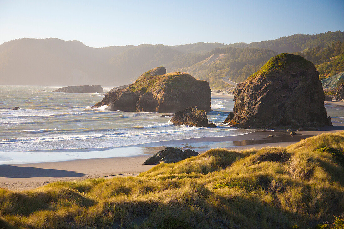 Sea stacks at Meyers Creek Beach, Pistol River State Park in Oregon, USA.