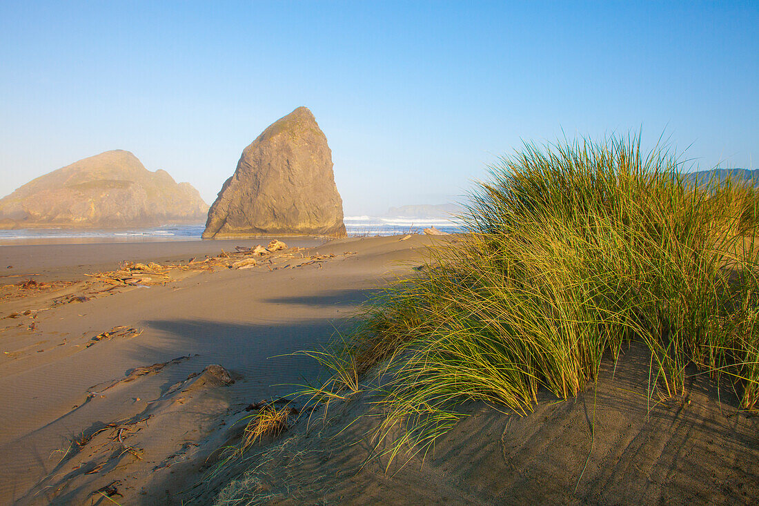 Sea stacks and sand dunes at Meyers Creek Beach, Pistol River State Park, Oregon.