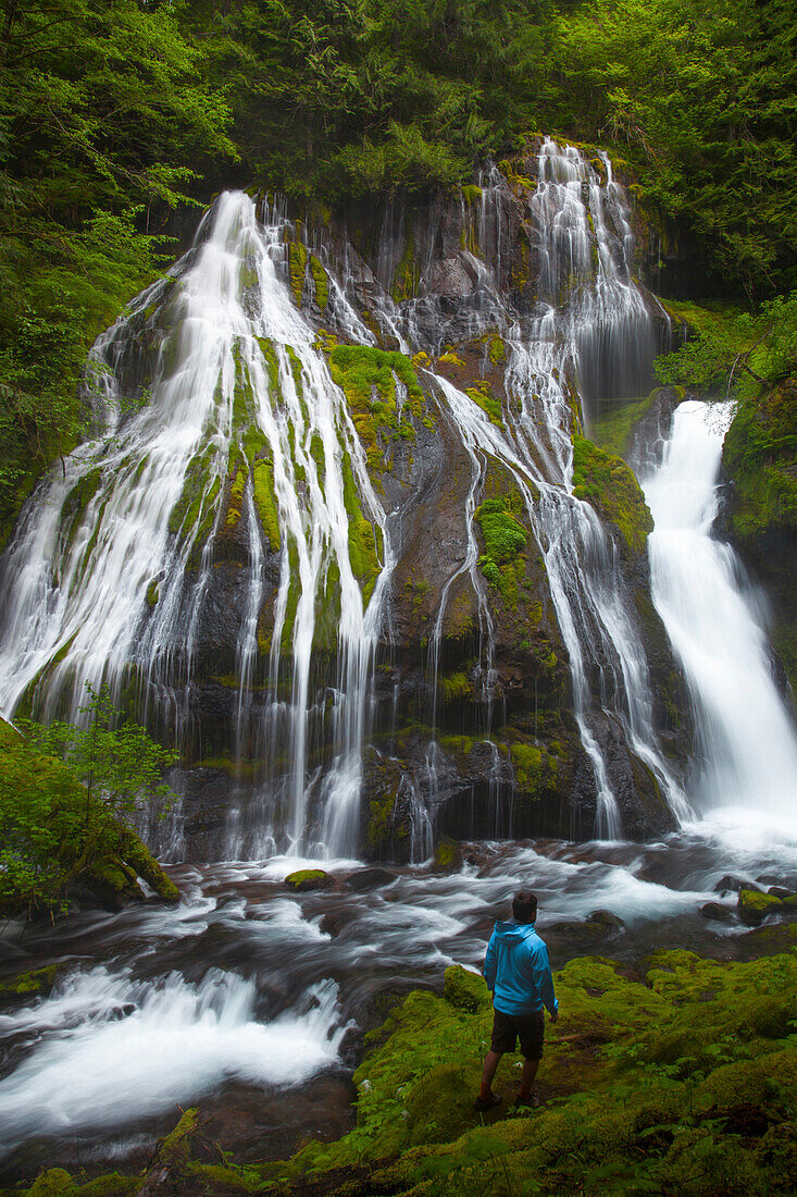 A man walks towards Panther Creek Falls in Carson, Washington.