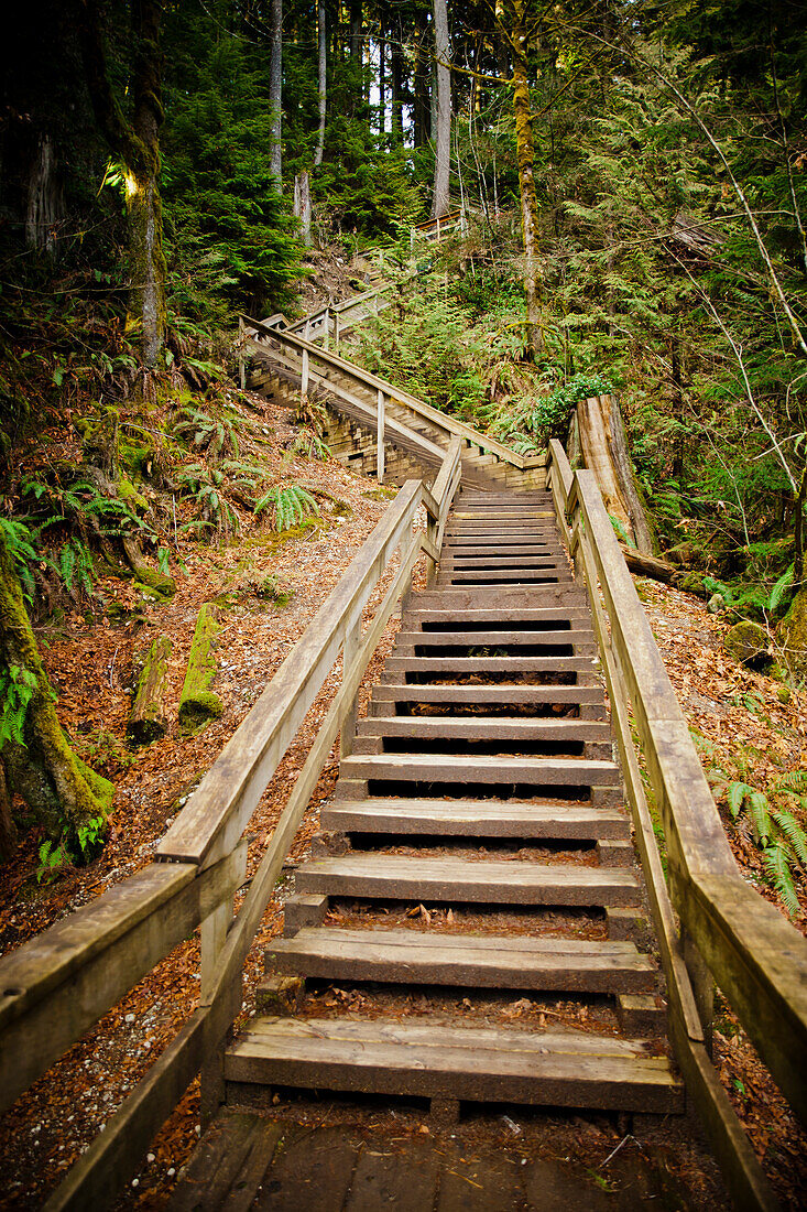 Large wooden staircase in Lynn Valley, British Columbia, Canada.