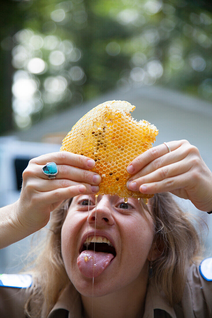 A young woman eats fresh honey as she squeezes it out of a honeycomb in Vancouver, British Columbia, Canada.